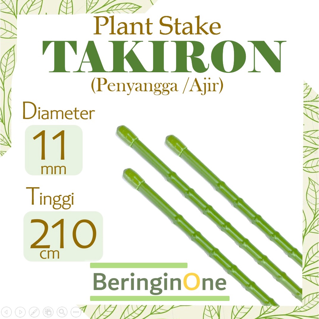 AJIR PENYANGGA TANAMAN TAKIRON 11 MM X 210 CM