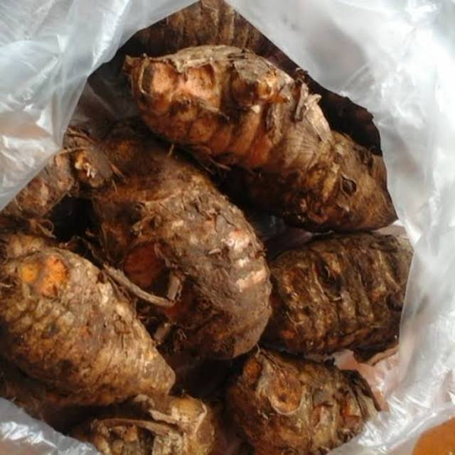 

Biang Kunyit Sukabumi Super Besar Segar 500gr