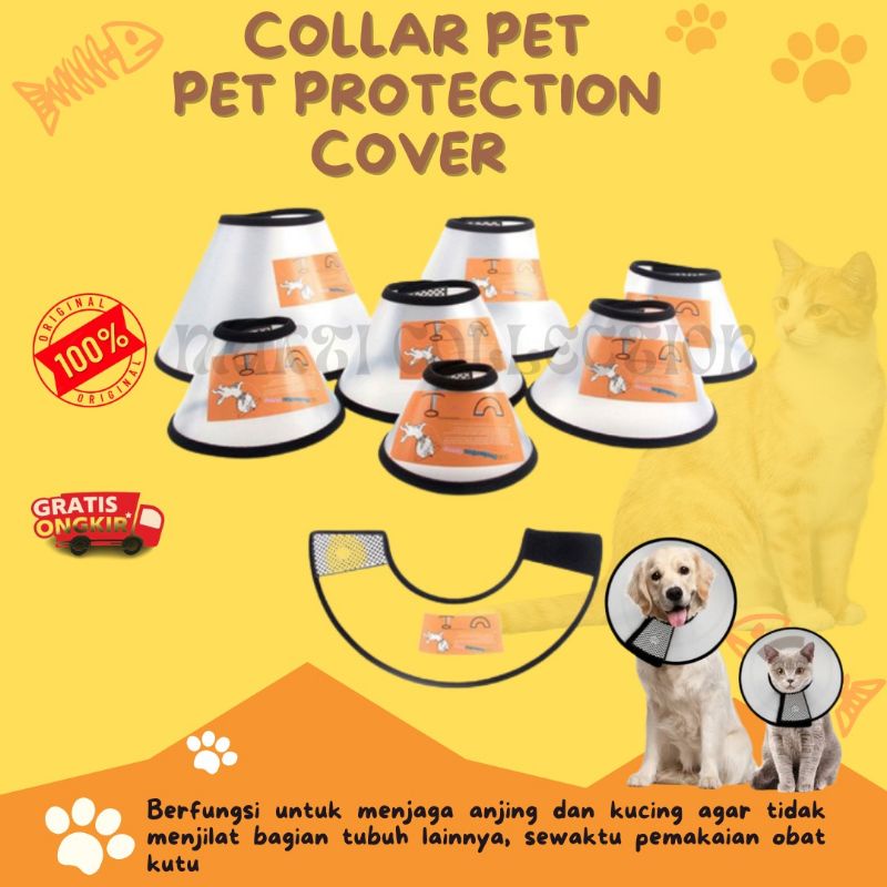 Jual COLLAR PET CORONG KUCING ANJING KELINCI UKURAN SEDANG Shopee