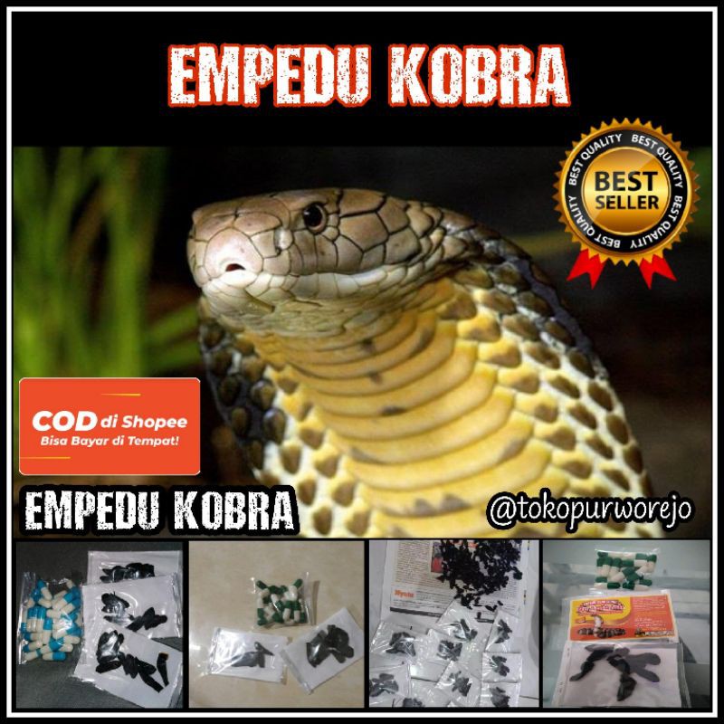 EMPEDU ULAR COBRA ORIGINAL 100% MULTI KHASIAT