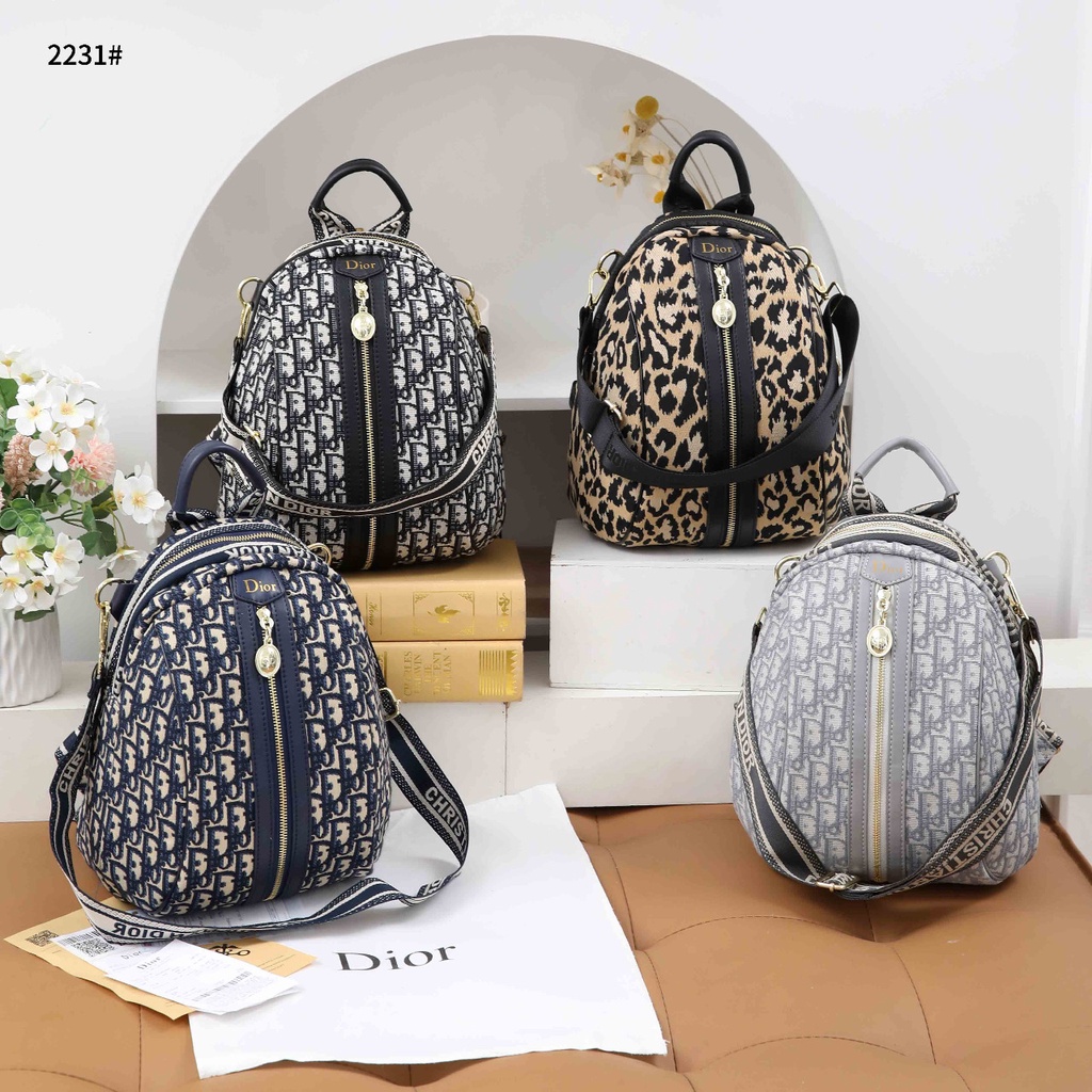 CD Backpack 2231