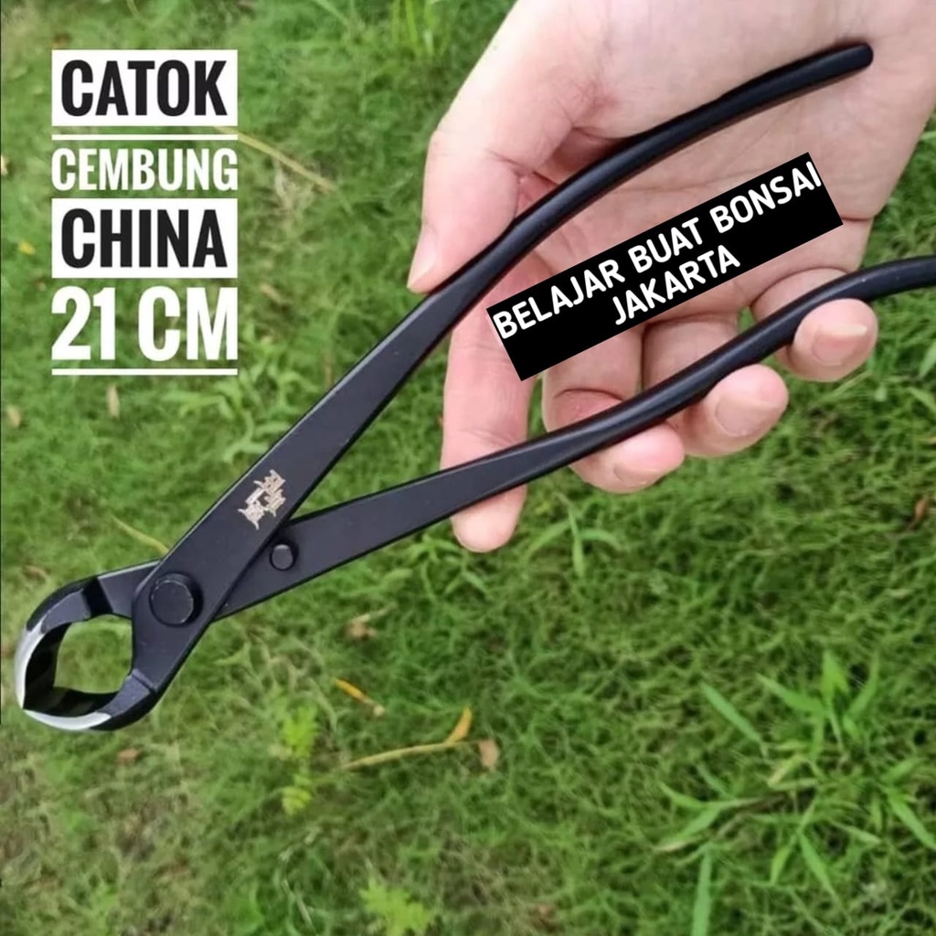 CATOK BONSAI CEMBUNG BULAT CARBON IMPORT 21 CM