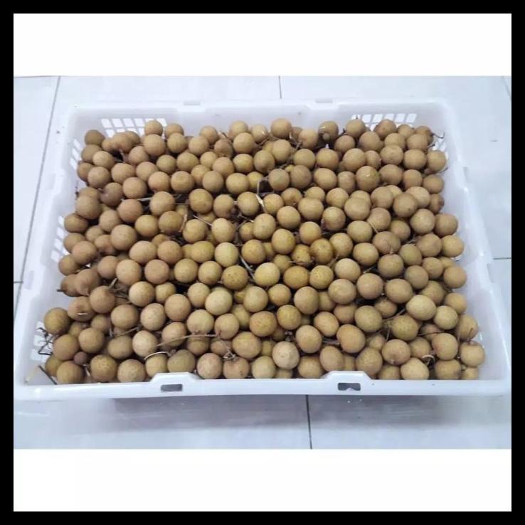 Buah Lengkeng 1Kg / Lengkeng Manis / Buah Segar