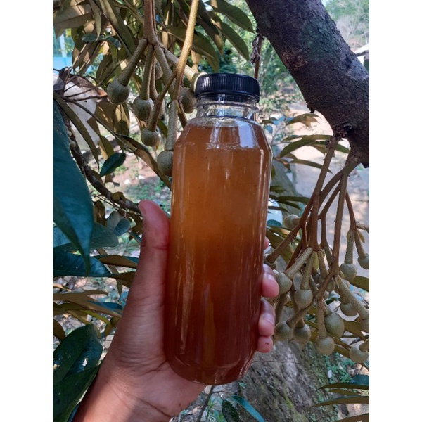 

Madu Klanceng Trigona 500 Ml