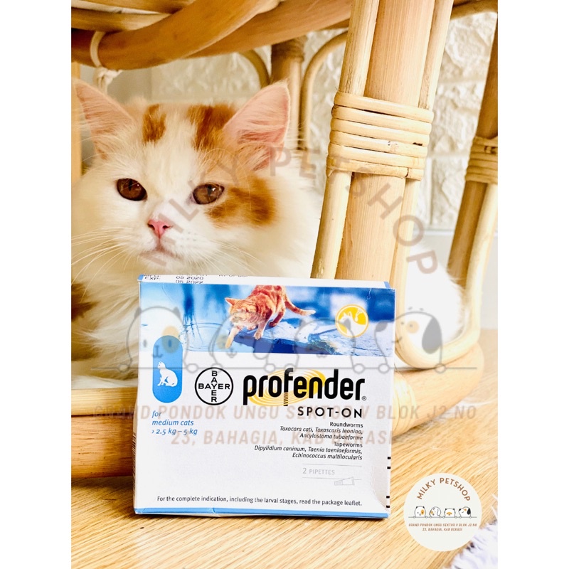 Profender Obat Cacing AMAN Kucing Hamil Menyusui Bayer MURAH