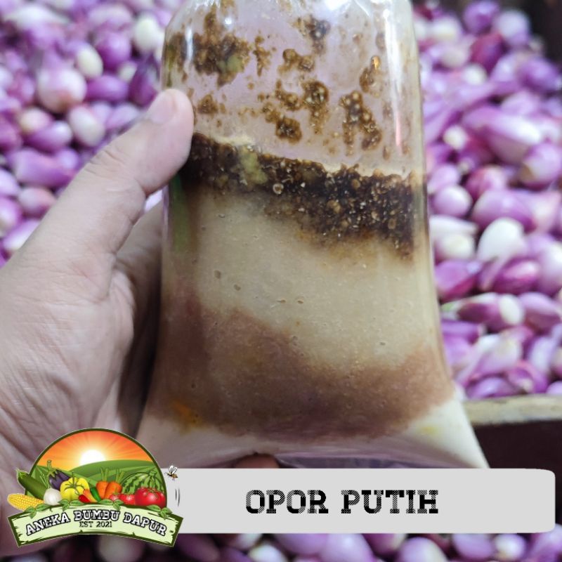

bumbu opor putih