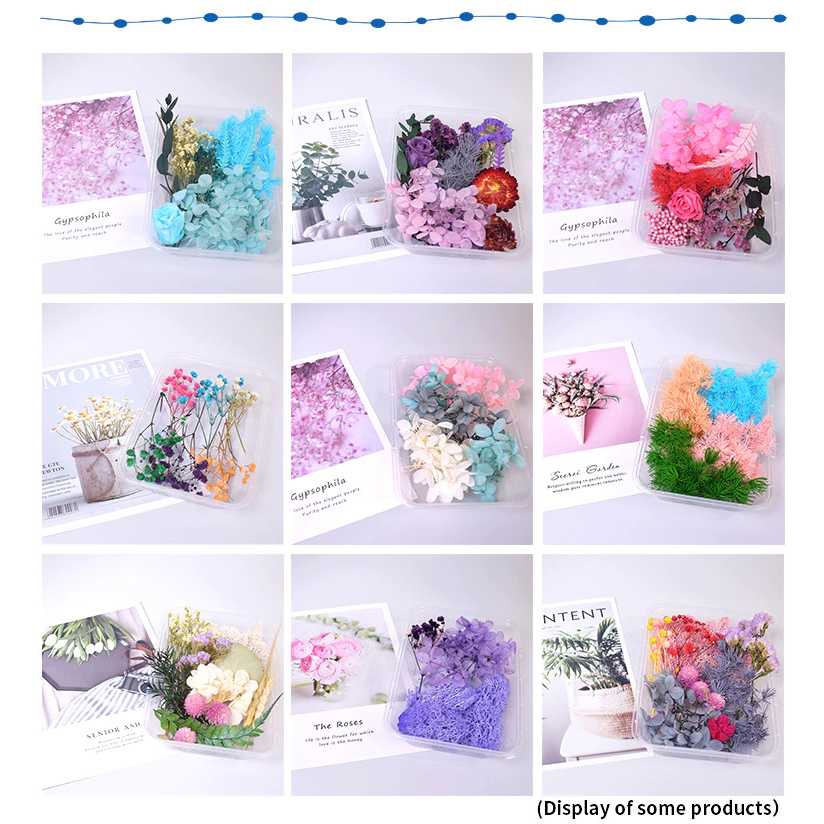 Bunga Kering Aromatherapy Real Dried Flower Aromaterapi Dekorasi Rumah Flower Resin Minimalis Berkualitas