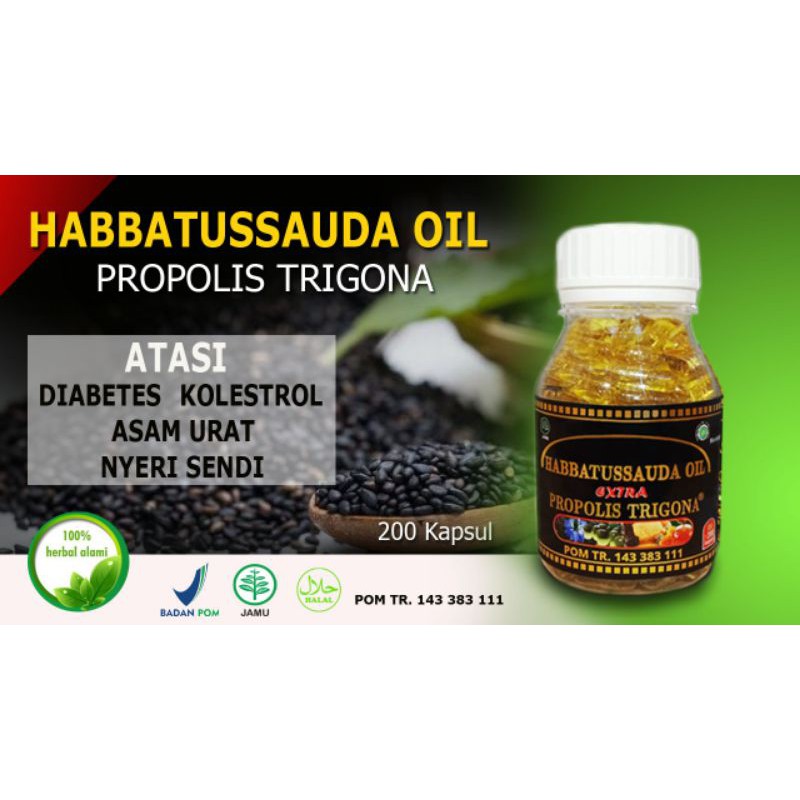 Habbatussauda trigona propolis