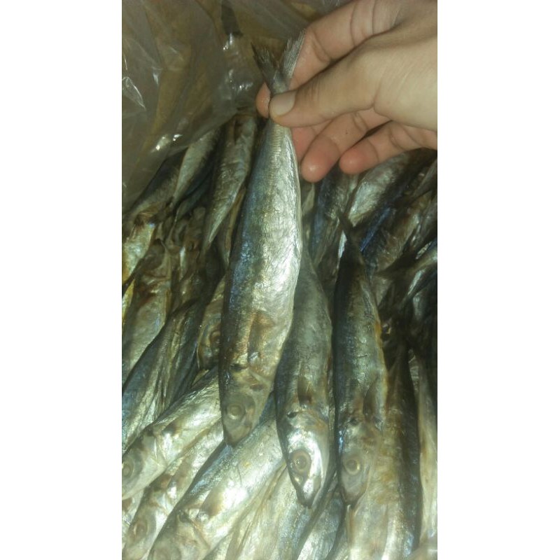 

ikan peda asin