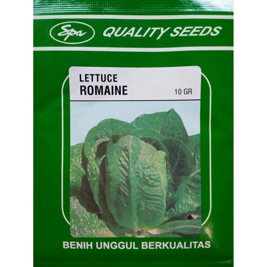 Benih Selada Lettuce Romaine Quality Seed Limited