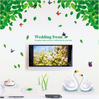 Download 520 Koleksi Background Angsa Cantik Gratis
