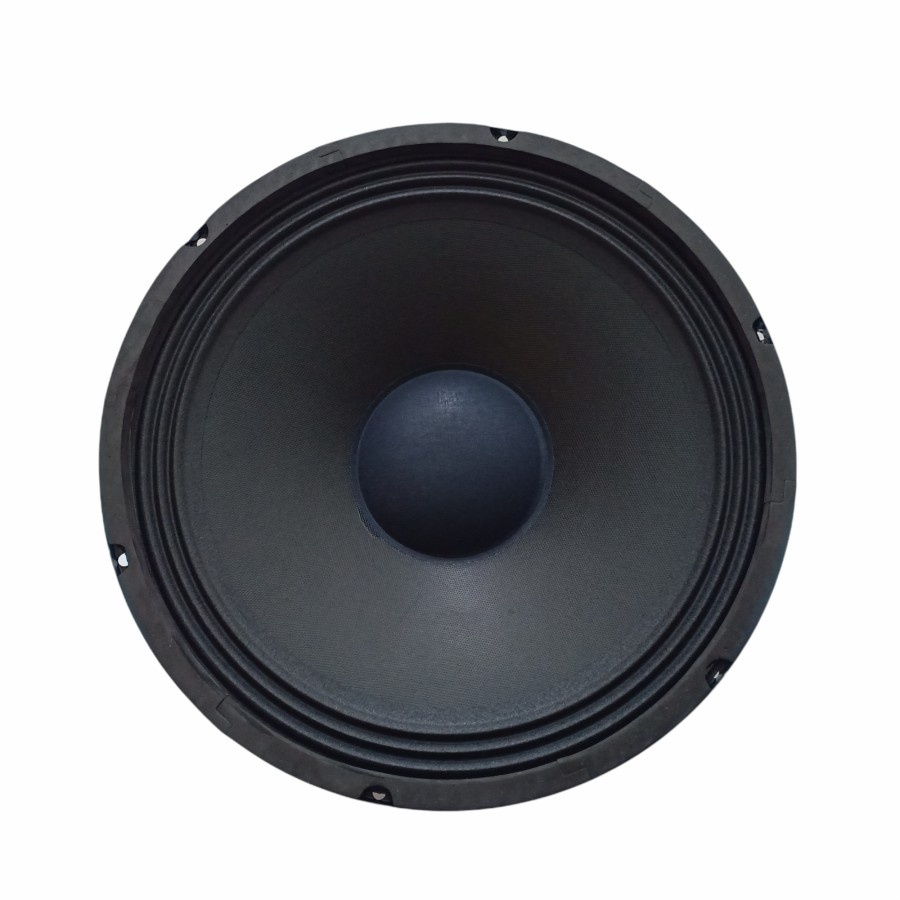 speaker full range 12 inch elsound