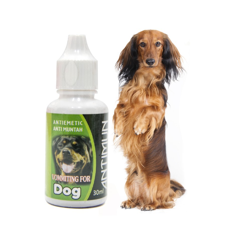 Antimun Dog - Obat Anti Muntah pada Anjing 30ml