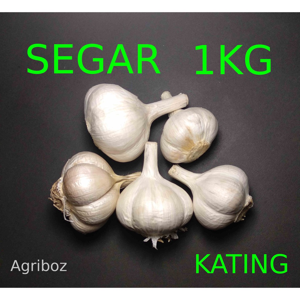 

Bawang Putih Kating Segar 1KG 1 Kg 500gr 100gr 500 100 gr