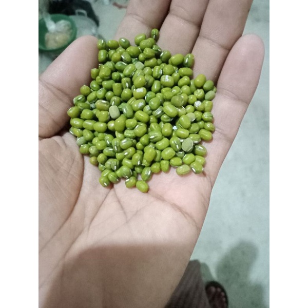 

KACANG HIJO SUPER