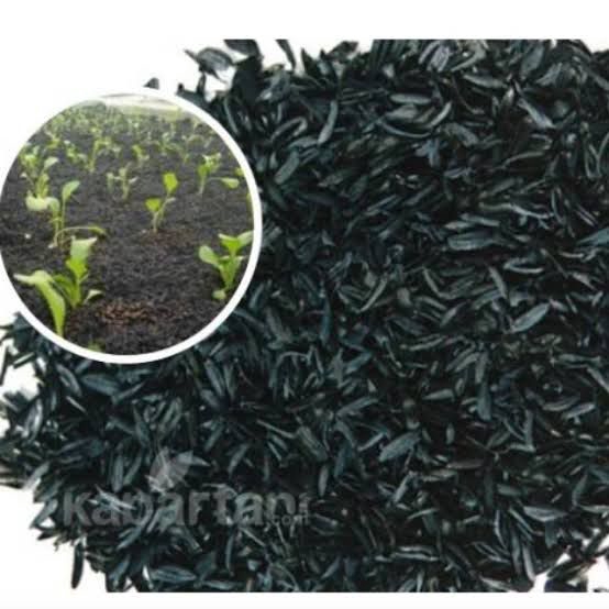 sekam bakar 500 gram / media tanam sekam bakar