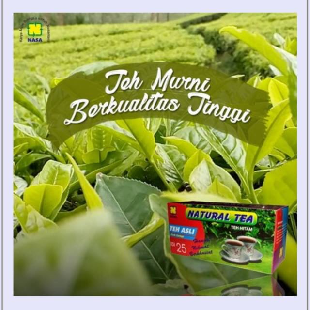 

NTC / Natural Teh Celup NASA