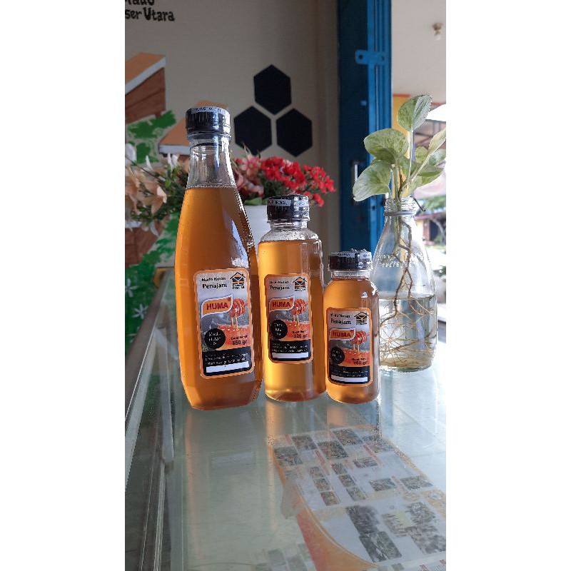 

madu hutan kalimantan 650 gr