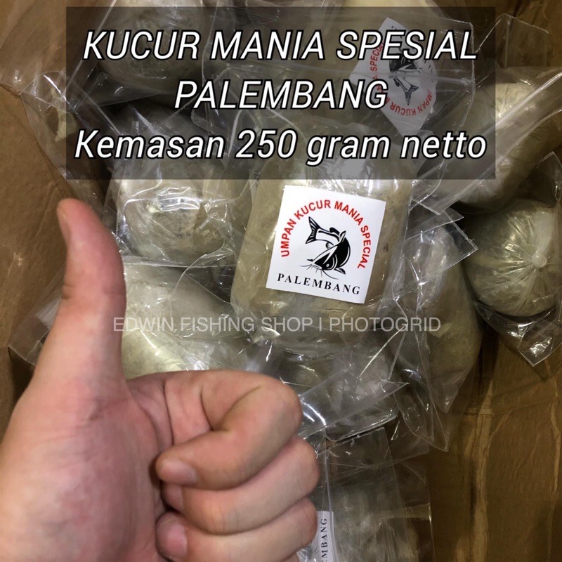 UMPAN BAUNG KUCUR MANIA SPESIAL PALEMBANG
