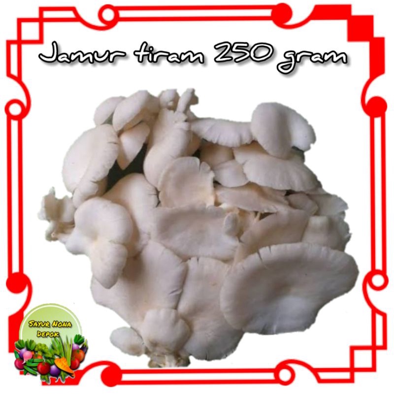 

jamur tiran 250gram