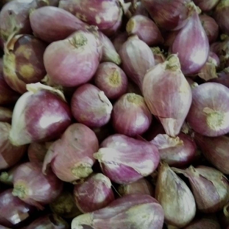 

bawang merah brebes (250 gram)