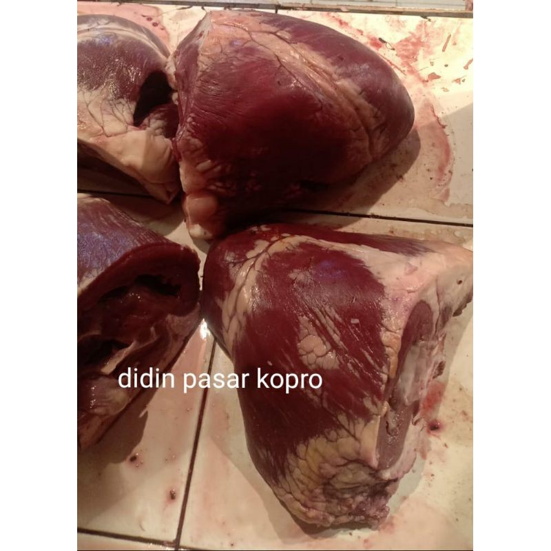 

jantung sapi