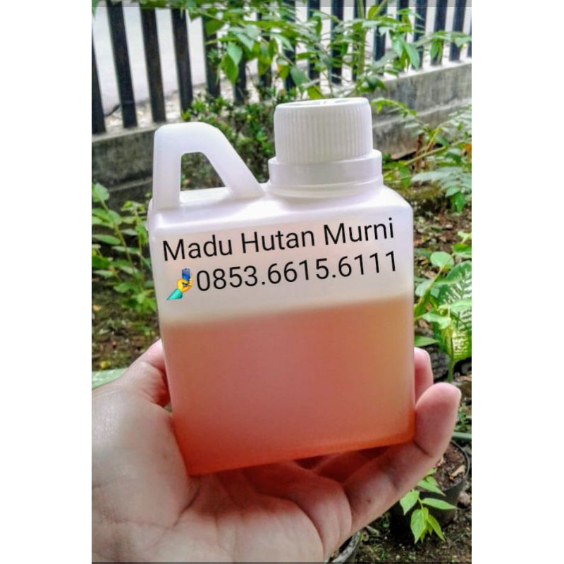 

Madu Hutan Liar Murni