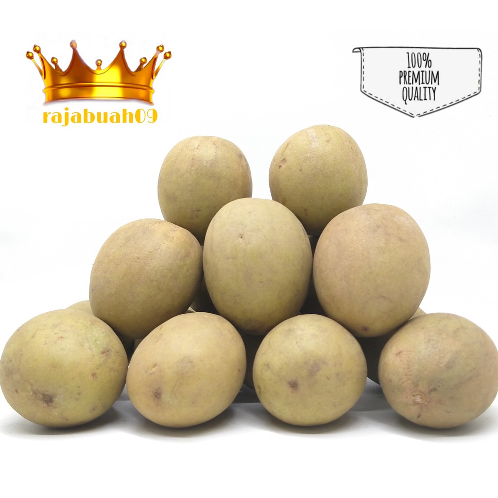 

Sawo Manis 1 kg Fresh / Buah Sawo
