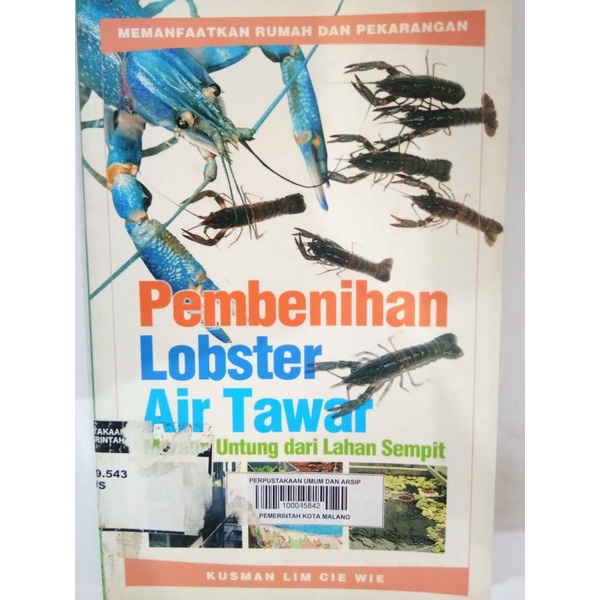 pembenihan lobster air tawar