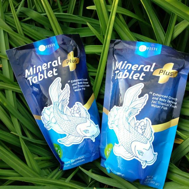

MINERAL TABLET PLUS VITAMIN C ISI 40 TABLET