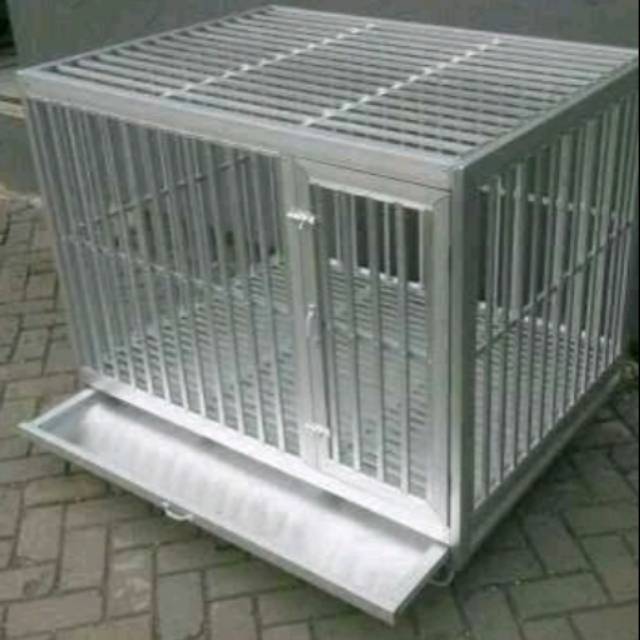 Kandang Anjing Ukuran Besar Shopee Indonesia