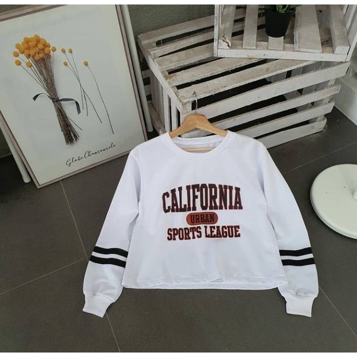 Sweater Wanita Termurah Berkualitas - California Urban Croope