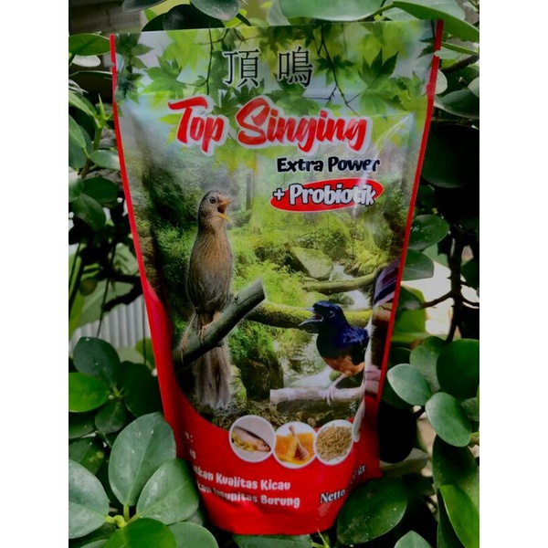 TOP SINGING Extra Power Plus Probiotik
