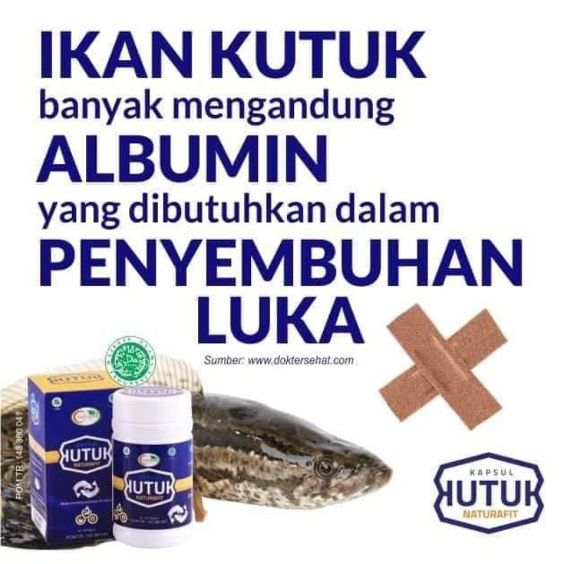 Kapsul Ikan Kutuk