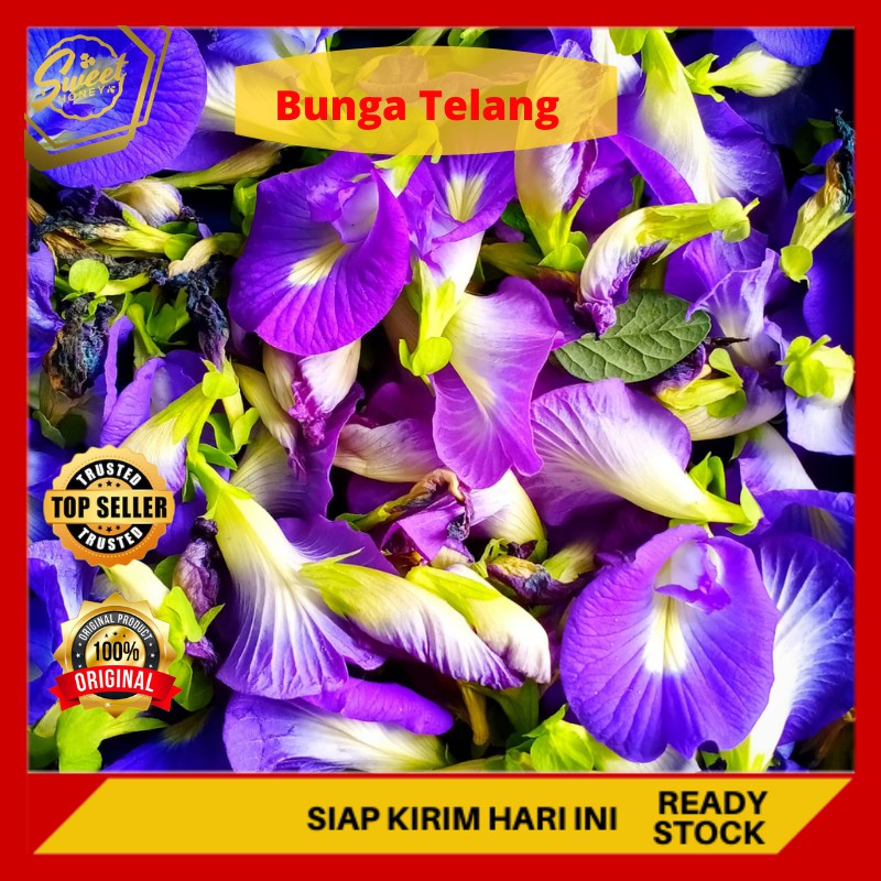 

Bunga Telang Kering Murah 250G