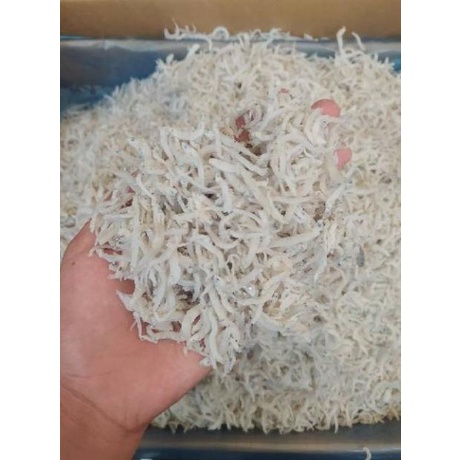 

Promo Ikan Asin Teri Nasi Medan Sizekecil-1Kg Khr