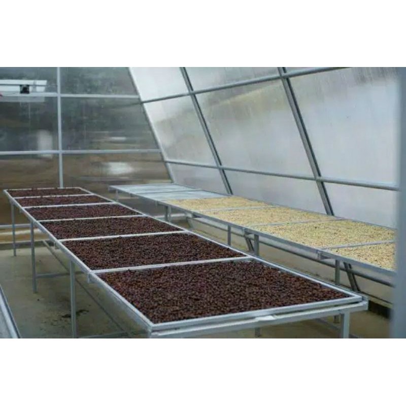 

KOPI ARABIKA ASLI GARUT GN. PAPANDAYAN VARIAN ORIGINAL PROCESS