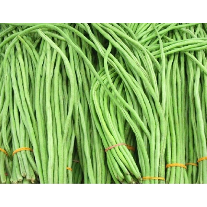 

Kacang Panjang