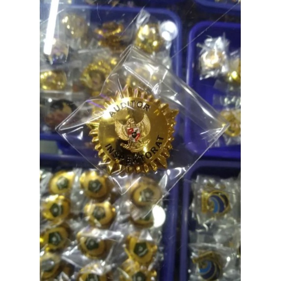 PIN AUDITOR INSPEKTORAT