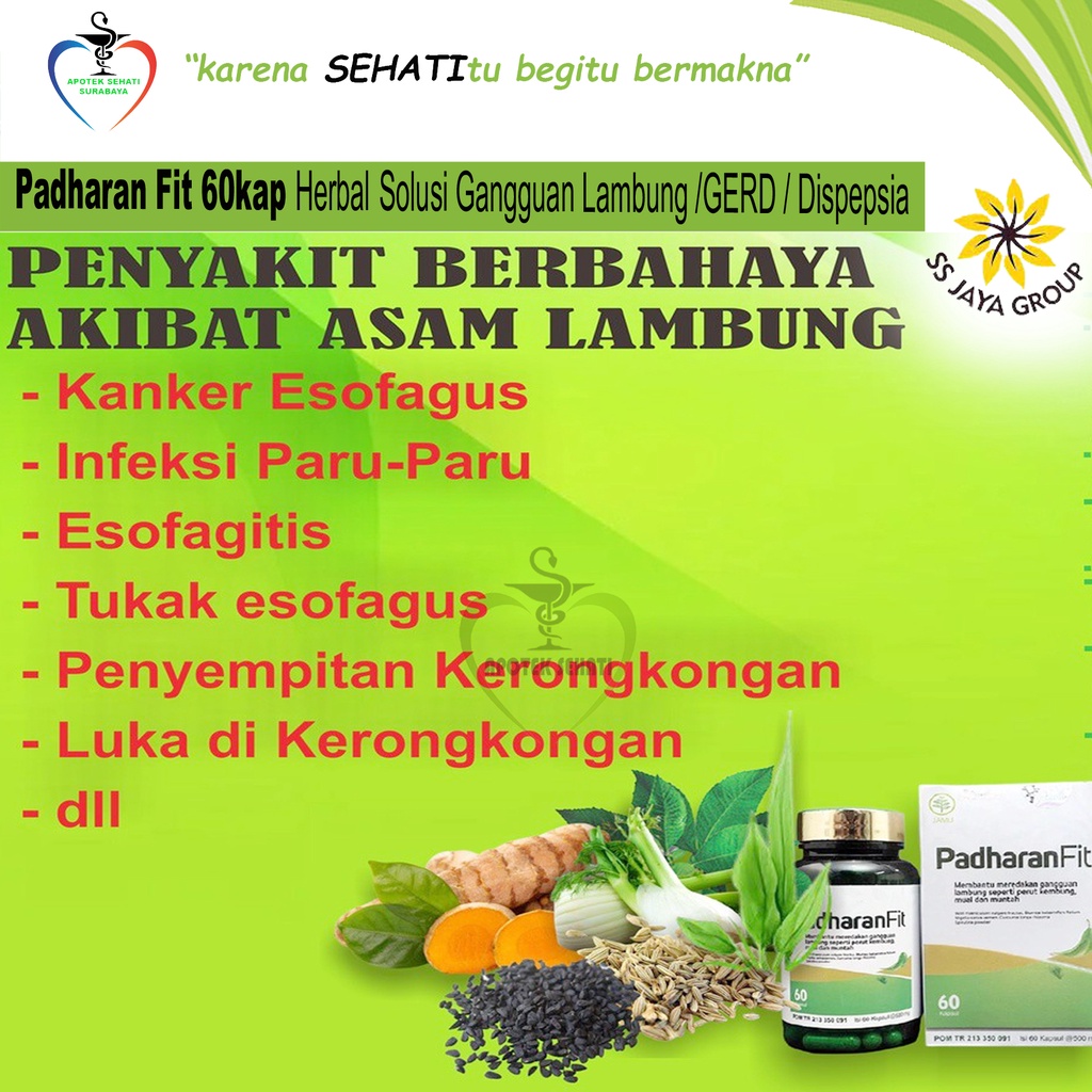 Padharan Fit Obat Herbal Asam Lambung Maag Gerd Dispepsia Akut