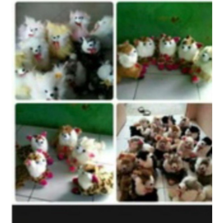 Boneka Kucing Angora Lucu Bulu Jabrig Korea Murah