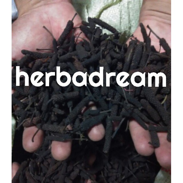 500 GRAM CABE JAWA JAMU PIPER RETROFRACTUM CABAI CABEAN ALAS LONG PEPPER LAJIAO CAOYAO SIMPLISIA KER