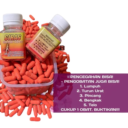 OBAT AYAM TURUN URAT LUMPUH BENGKAK SABUNG REAKSI CEPAT  AYAM BANGKOK GIRAS obat ayam bangkok
