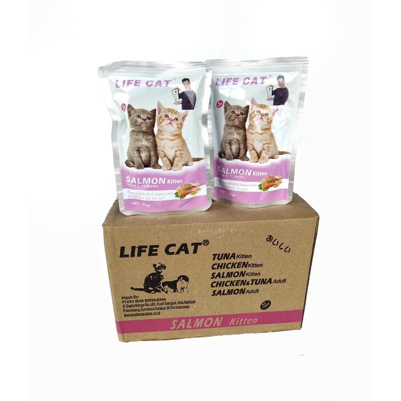 Life cat kitten SALMON makanan Anak kucing DUS isi 24 sachet