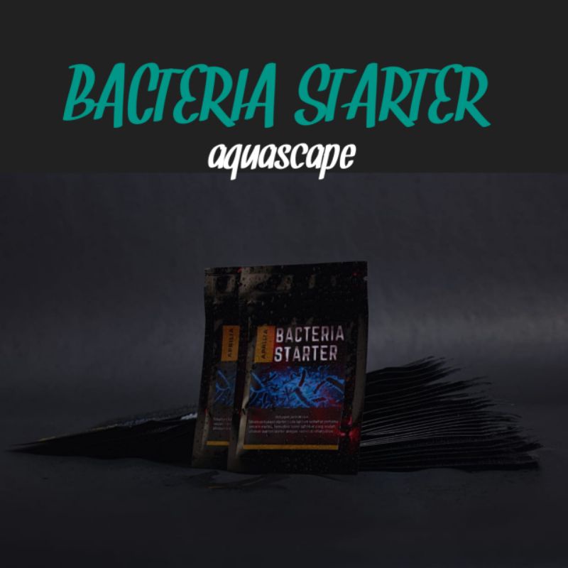 BACTERIA STARTER AQUASCAPE (APRILLIA)