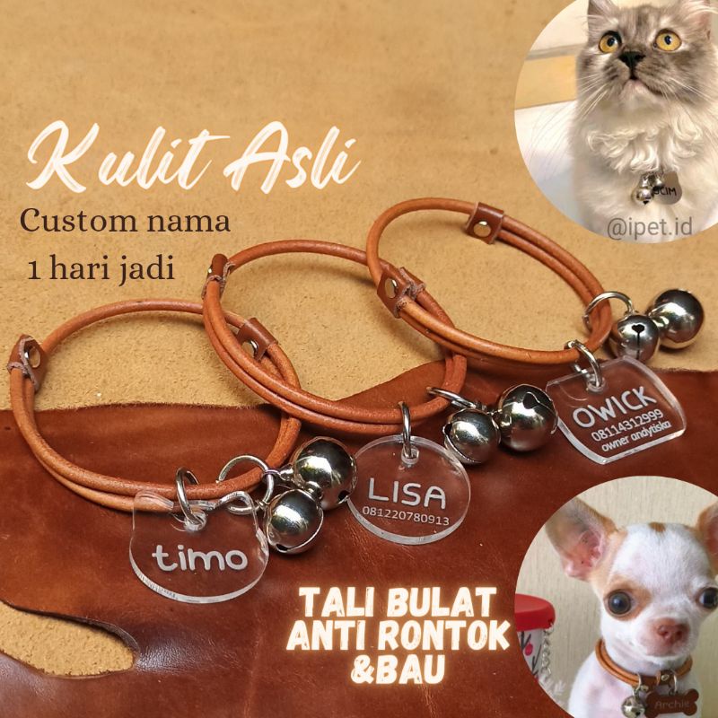 KALUNG KUCING DAN ANJING KECIL LONCENG DOUBLE TAG NAMA CUSTOM AKRILIK BENING TALI KULIT BULAT by iPet