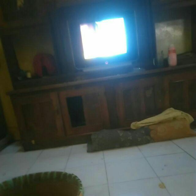 Sidafos 1 L Herbisida Rumput Sistemik Mati Hingga Ke Akarnya