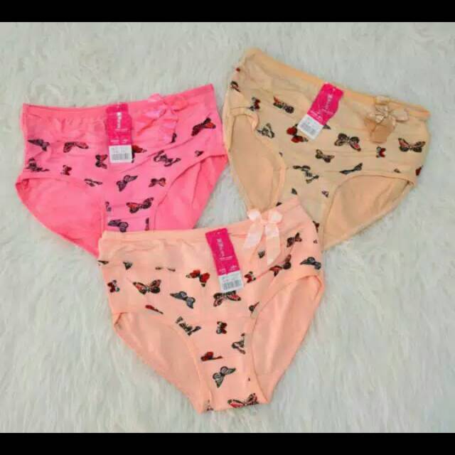 Cd fullcolour motif kupu kupu 1121
