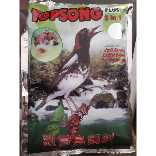 VOER BURUNG BERKUALITAS TOPSONG KUNING