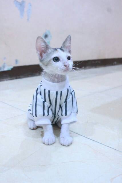 Kaos lengan panjang strip hitam putih untuk kucing dan anjing / baju kucing murah size S M L XL